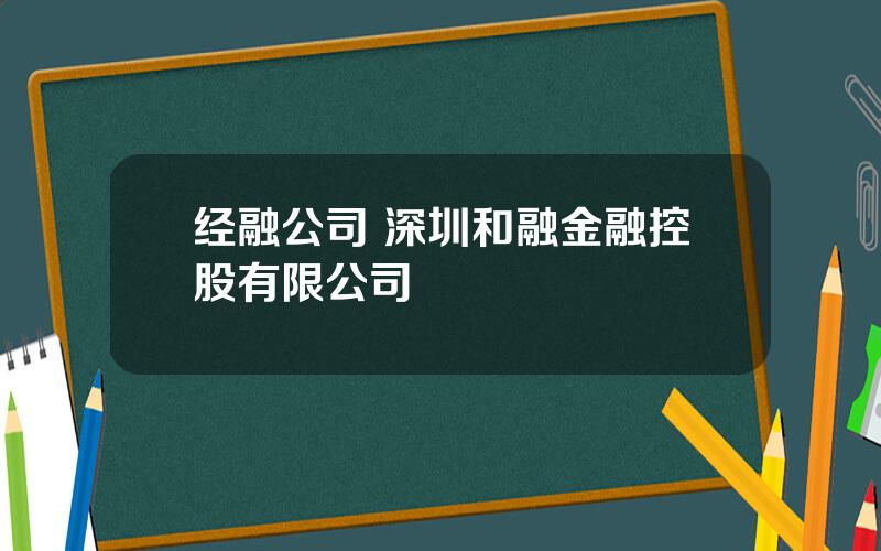 经融公司 深圳和融金融控股有限公司